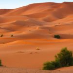 Marocco: Cile sostiene piano autonomia Sahara 